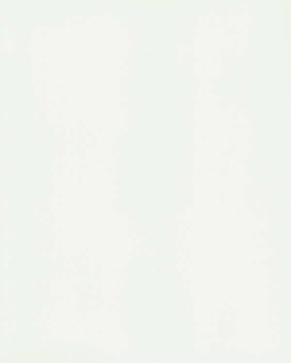 Stamoid Heavy Cover 4313 - White 03244