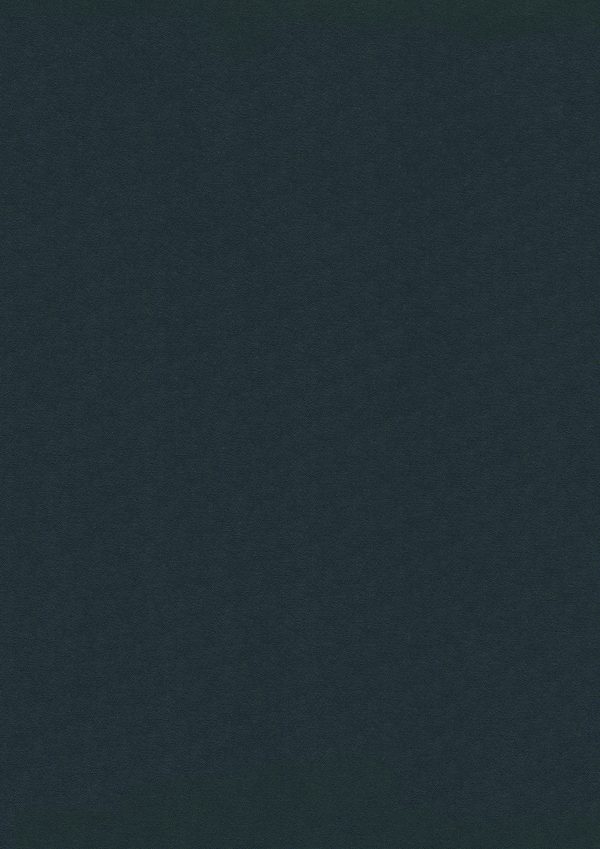 Stamoid Top 3933 - Charcoal Grey 20218 150 cm