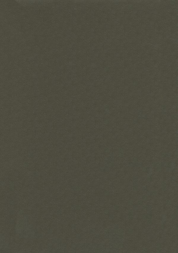 Stamoid Light 4128 Taupe 20165 260 cm