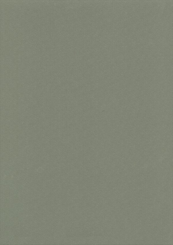 Stamoid Top 3933 - Cloud Grey 20218 150 cm