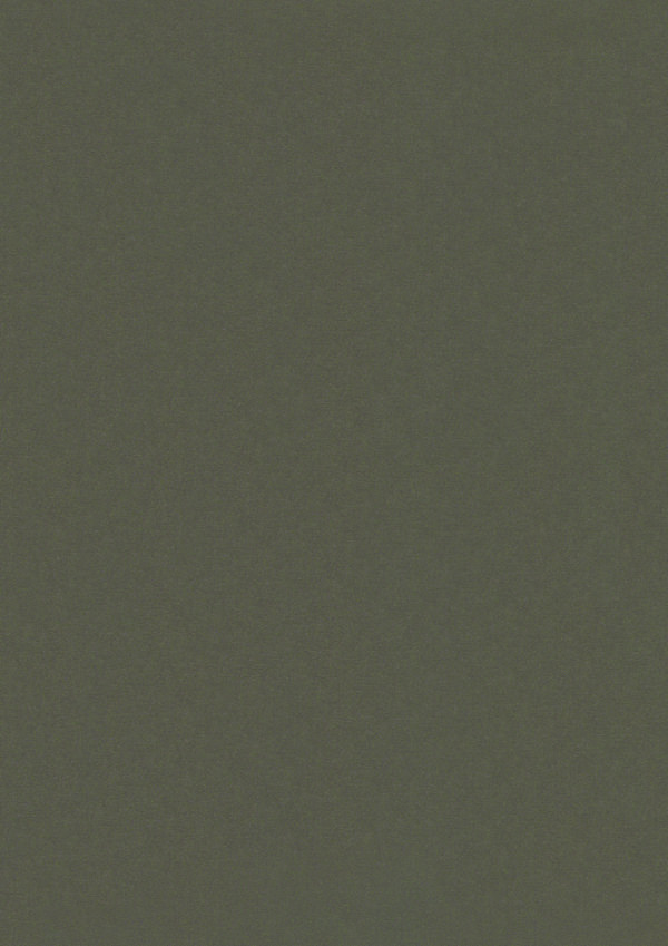 Stamoid Smart 250cm Taupe